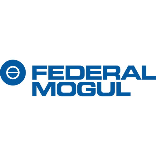 FEDERAL MOGUL